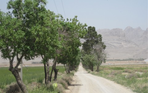 روز طبیعت و معرفت