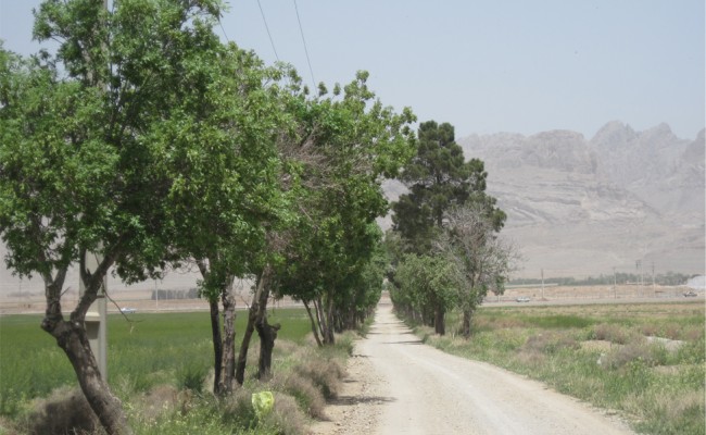 روز طبیعت و معرفت