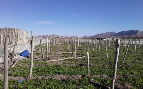 photo_2019-04-04_00-23-03