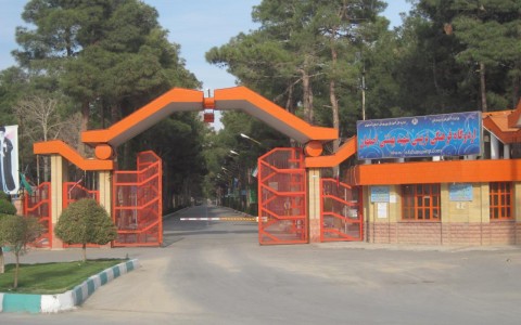 photo_2020-03-14_23-50-07