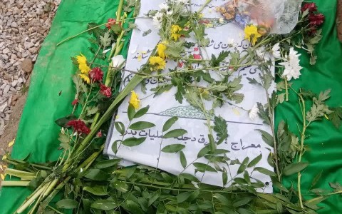 photo_2023-01-06_16-46-10